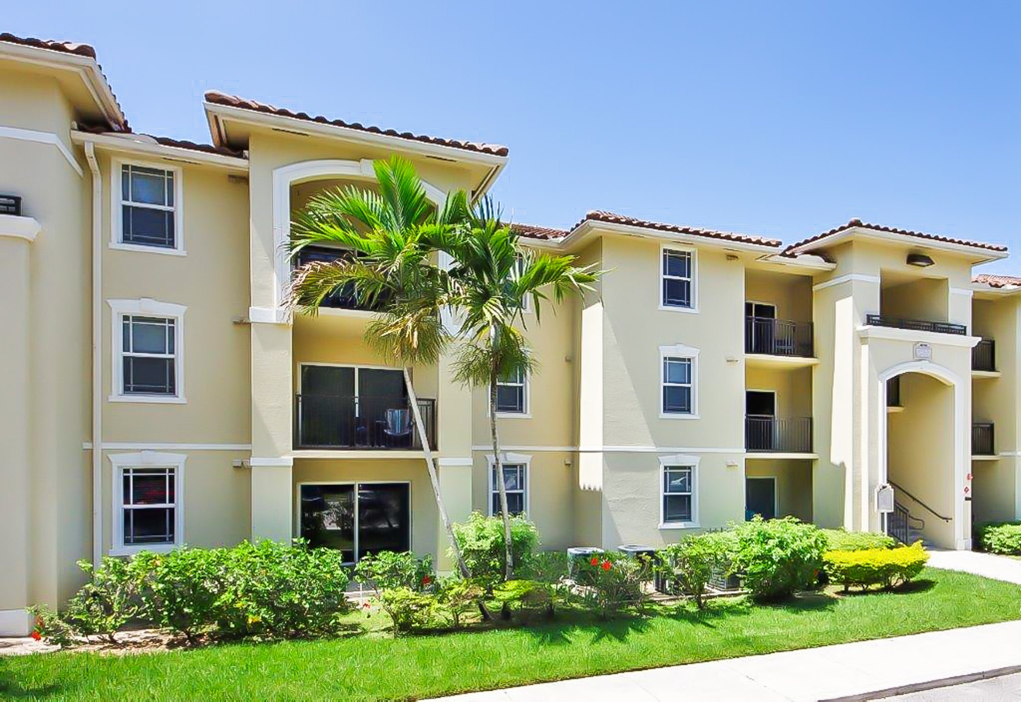 A row of apartment buildings with a palm tree in front.